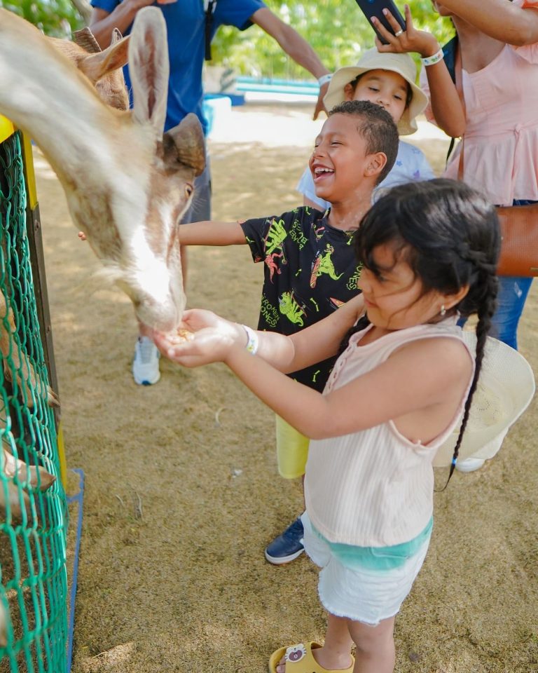 Ranch Texas La Granja (11)