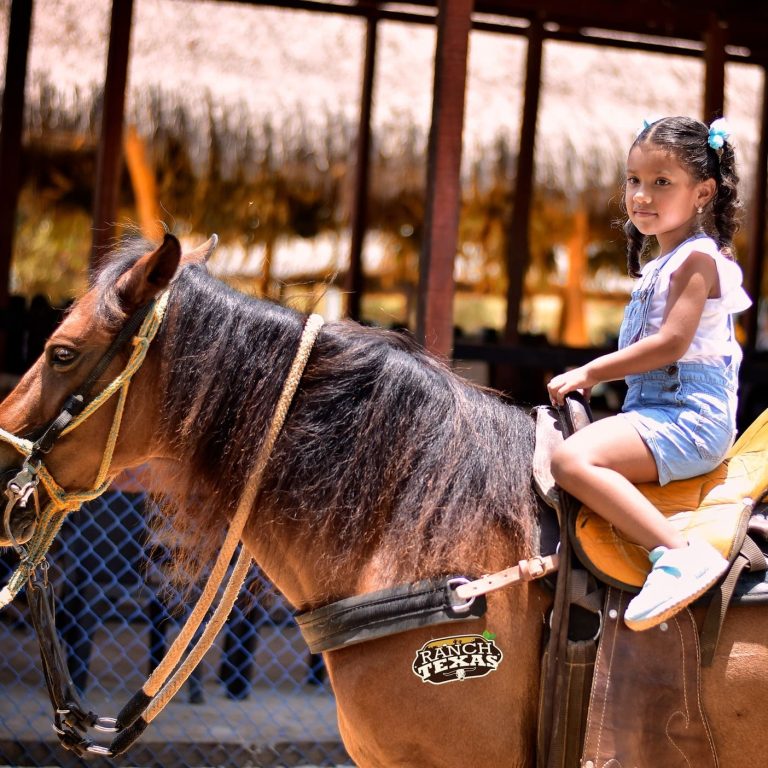 Ranch Texas La Granja (3)