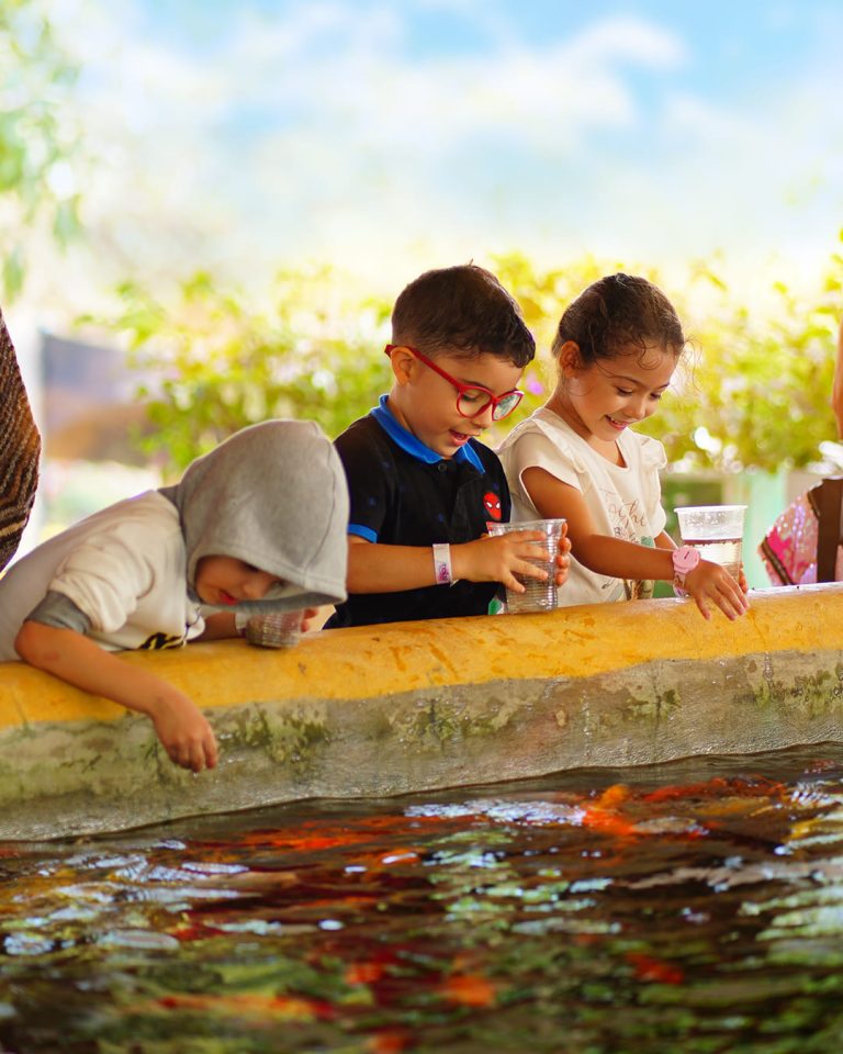 Ranch Texas La Granja (9)